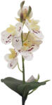  Szálas - Orchidea (32cm) - Fehér-bordó #1