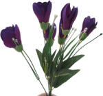  Selyemcsokor - Crocus (nagy fejjel) - Lila #1