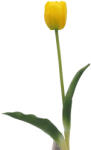  Szálas - Tulipán (40cm) - Sárga #1