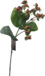  Szálas - Hypericum ág (56cm) - Barna #1