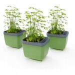 Gusta Garden Herbs Buddy önöntöző virágláda zöld, 3 db a csomagban (PGN-077)