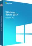 Microsoft Server 2019 50 User CAL (P11081-B21)