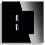 Luxion Priza USB Luxion cu rama din sticla neagra, design elegant (LX-MP057G-B)