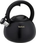 TEFAL Non-Electric Kettle TEFAL N4180410, Black, Matte (N4180410) Fierbator