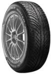 Cooper Anvelopa Iarna 205/50R17 COOPER Discoverer Winter 93V (029142973669)