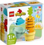 LEGO® DUPLO® - Growing Carrot (10981) LEGO