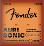 Fender AuriSonic 7060R, Phosphor Bronze, Medium Scale, 045-100