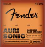 Fender AuriSonic 8060R, Phosphor Bronze, Long Scale, 045-100