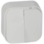 Horozk Electrik Intrerupator Dublu Aplicat, Horoz, Eva 10 A, 250 V (ZLN-EXT112-001-0003)