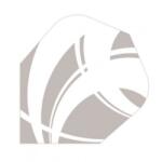 Shot Flights Shot Zen Satori Std. Nr. 6 - Pachet de 3 (SH-SF6730)