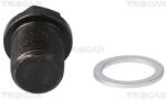 TRISCAN surub de golire, baia de ulei TRISCAN 9500 1002 (9500 1002)