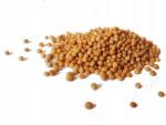 Zioła z Kurpi Fehér mustármag 250g Zioła z Kurpi (ZK_0777)