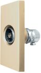 Luxion Priza TV modulara 1M Luxion, aurie, compatibila cu rame din sticla (LX-MP026G)