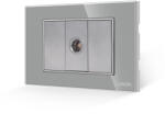 Luxion Priza TV Luxion 3M cu 2 taste false si rama din sticla, gri (LXI-032/22GF-GY)