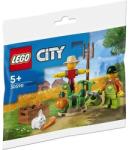 LEGO® City - Farm Garden & Scarecrow (30590)
