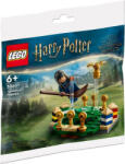 LEGO® Harry Potter™ - Quidditch Practice (30651)