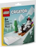 LEGO® Creator - Cataclaws Snow Adventure (30718)