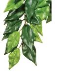 ExoTerra Jungle Plants Ficus S 32cm