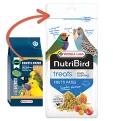 Versele-Laga NutriBird Orlux Frutti Patee Treats Exotix Fusion Eggfood 250 g