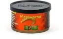 Hagen Mealworms 34 g