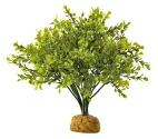 ExoTerra Rainforest Plant Boxwood Bush 28 cm