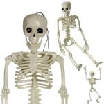 Verk Group Schelet artificial de 40 cm pentru decor Halloween (26132)