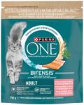  One Cat Lazacos szárazeledel felnőtt macskáknak 750g