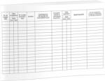  Registru intrare-iesire, A4, 100 file, tipar fata-verso (TI8066) - forit