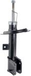 DR! VE+ amortizor DR! VE+ DP1610.10. 0036 (DP1610.10.0036)