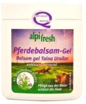 Alpifresh Balsam Gel Taina Ursilor Alpifresh 250 Ml