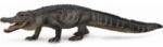 CollectA Alligator American Figure (004-88609)