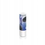 REVERS COSMETICS Védő rúzs E-vitaminos balzsam Szeder 4g (5902114883607)