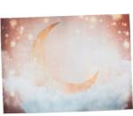 GAFOKI Fotózási háttér 220 x 150 cm (G5572-POA6117251)