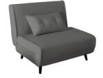 IV Interior Concept Fotoliu Pat SMART MULTIFUNCTION 100cm catifea raiata gri (A-47141 VC)