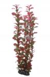 Hobby Műnövény Ludwigia 34 cm Hobby halak számára (41520)