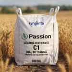 Syngenta Sămânță certificată grâu de toamnă SY PASSION C1, tratată cu Celest Extra, Syngenta, Big Bag 500 kg (ART004128)