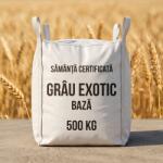 Agro-est Muntenia Sămânță certificată grâu de toamnă EXOTIC BAZĂ, tratată cu Celest Extra, Big Bag 500 kg (ART002563)