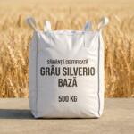 Agro-est Muntenia Sămânță certificată grâu de toamnă SILVERIO BAZĂ, tratată cu Celest Extra, Big Bag 500 kg (ART002565)
