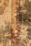 Agnella gyapjú szőnyeg isfahan ornan sahara - 300 x 400 cm