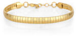Daniel Klein Bratara din Inox Daniel Klein Jewelry Dama DKJ. 11.10006-1 (DKJ.11.10006-1)