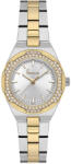 Freelook Lumiere - Ceas Dama Quartz Argintiu FL. 1.10466. 5 (FL.1.10466.5) Ceas