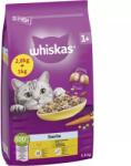 Whiskas -Whiskas száraz Sterile Csirke Adult 2, 8kg+1kg GRÁTISZ - grandopet