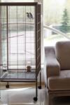 Inter-Zoo Pet Products Colivie pentru păsări Big Bird Cage Glamour - 60 x 60 x 151, 5 cm