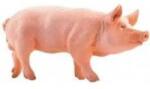 Papo Boar