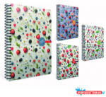  Spirálfüzet GIPTA Berry Notes 17x24cm keményfedeles 120 lapos vonalas 7214 (BAR_153901530)