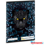  Füzet ARS UNA A/5 14-32 1. o. vonalas Black Panther 5529 (26) (BAR_150060339)