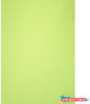  Karton kétoldalas (50x70) 225g Lime zöld (6066) (BAR_023300244)
