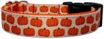 Collarful Pumpkin Spice kutya nyakörv