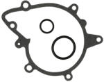 SKF VKPC88829 Skf_g Vízpumpa