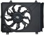 THERMOTEC Ventilator racire radiator HYUNDAI i10 1 (D80504TT)